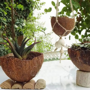 Maceta Ecológica de Alta Calidad Hecha de Cáscara de Coco, Marca Vietnam Viet Fargimex, Modelo S1, Tamaño Personalizado para Decoración de Jardín y Hogar - Product Image 6