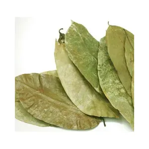 Heiß verkaufter Kräutertee Vietnam esisch getrocknetes Soursop Leaf Gra viola Leaf zu einem guten Preis aus 99 Gold