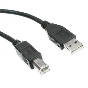 0.5m USB 2.0 High Speed Type A Male to Type B Male Printer Scanner Cable Support Custom High Quality OEM USB
