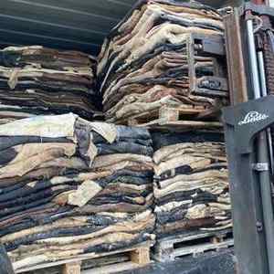 Wholesale Industrial Grade Cow Skins Wet Salted Cattle Hides for <b>Skirts</b> Belts Furniture Sofas Shoes Luggage and More - Product Image 3