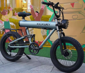 Ready to go Electric Bike Fat Tyre Electric Bikes K20 Plus Electric Bicycle Mountain Bike - Product Image 2