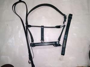 VENDRE montrer bling cuir licou HORSE Halters fabriqué en dollar indien 6 tailles plein cob shetland - Product Image 2