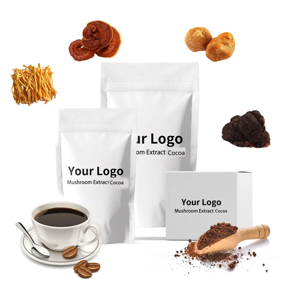 Fórmula personalizada de cacau em pó com sabor de chocolate quente e mistura de cogumelos para bebidas de marca própria