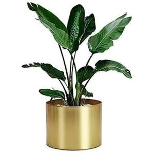 Jardinière en métal finition laiton de luxe avec support noir minimaliste, pot à fleurs rond effilé, conteneur architectural pour plantes d'intérieur - Product Image 3