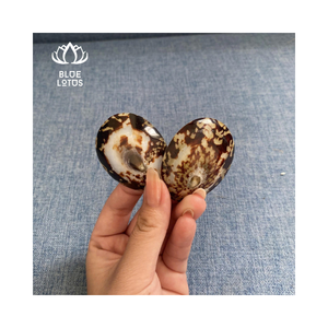 เปลือกหอยที่ได้รับแรงบันดาลใจจากท้องทะเลที่มีดีไซน์ทำมือนำความผ่อนคลายและความสง่างามให้กับผู้หญิง - Product Image 1