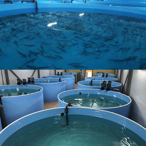Cowater Free Design Recirculating Aquaculture System for Land-Based <span class=keywords><strong>Fish</strong></span> Farm Água Reciclagem Aquaculture Equipment - Product Image 5
