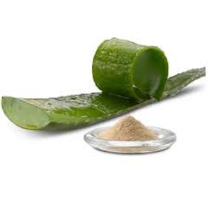 Extracto de hoja seca de Aloe Vera en polvo al mejor precio de la India - Product Image 2