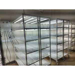 Estante de crecimiento de plantas LED comercial Sistema de estante de cultivo de tejidos con niveles ajustables - Product Image 5