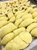 Verse Durian Monthong Vietnam Export-Viet Delta Verse Fruit Eco-Fruit 30-45 dagen houdbaarheid -18°C opslag
