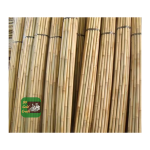 ไม้ไผ่ดิบจากเวียดนามไม้ไผ่ธรรมชาติสำหรับตลาดส่งออก - Product Image 3