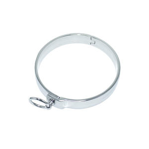 Collar BDSM de acero inoxidable con anillo extraíble Instrumentos quirúrgicos de diseño simple - Product Image 1