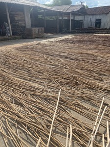 Bastón de bambú de ratán Manau/material de poste de ratán al por mayor recto con palo de bastón de ratán fuerte y duradero - Product Image 3