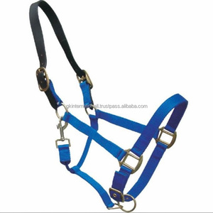 Correa de nailon para cabeza de caballo ecuestre inglés, todos los colores personalizados, venta al por mayor - Product Image 2