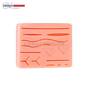 Vendedor superior, Kit de entrenamiento para estudiantes de medicina con certificación ISO, almohadilla de sutura eléctrica CE, instrumento de clase I, accesorios de taladro Dental - Product Image 2