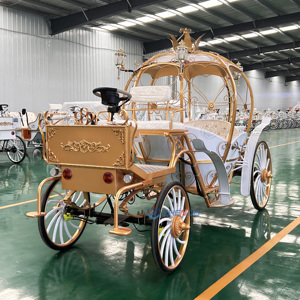 Carruaje Eléctrico de Cenicienta Dorado con Interior Blanco, Carroza para Paseos al Aire Libre, Transporte Especial, Carruajes de Caballos - Product Image 6