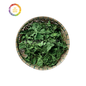 Centella Asiatica แห้งราคาไม่แพง-เหมาะสำหรับการจัดจำหน่ายขายส่งและการผลิตอาหาร - Product Image 5