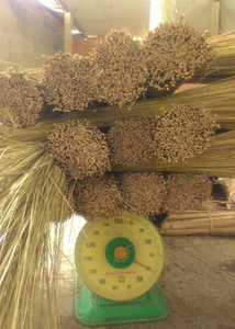 ไม้กวาดใยมะพร้าวประสิทธิภาพสูงเหมาะสำหรับกำจัดฝุ่นและเศษขยะ - Product Image 6