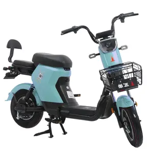最受欢迎的电动自行车两轮电动自行车配备有竞争力的价格