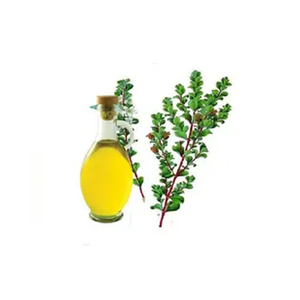 Nuevo extracto de hoja de buchu de Grado Superior ACEITE DE buchu al mejor precio - Product Image 4