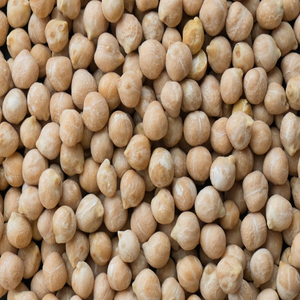 Distributeur mondial en gros de pois chiches de qualité alimentaire, directement de l'usine - Product Image 5