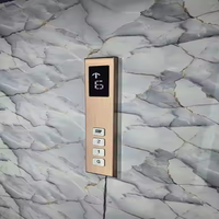 Panneau de commande d'ascenseur en acier inoxydable de qualité supérieure (COP LOP HOP) – Design traditionnel, performance durable pour appartements et villas