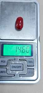 Coral Rojo Natural, Gema de Corte Ovalado, Calidad Fina para Joyería, Procedente de Rajastán - Product Image 2