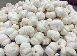 ราคาขายส่งมังคุดแห้งกระป๋องจากฟาร์มมังคุดสด 100% ในเวียดนาม - Product Image 6