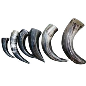 Viking Drinking Classic Corne à boire médiévale Événements historiques Célébrations parfaites Tasses à corne à boire durables et historiques - Product Image 1