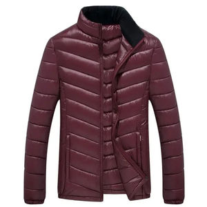 Chaqueta Acolchada Brillante de Invierno Unisex, Nueva Colección 2025, Cortavientos Grueso con Cuello Alto y Bordado - Product Image 1