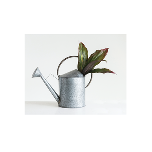 Arrosoir pour plantes Design de luxe Couleur noire Style moderne Luxe Maison et jardin Plantes d'intérieur Arrosoirs et arroseurs - Product Image 6