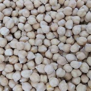Chana Dal Indien Pur Séché de Qualité Supérieure 100% Pur, Pois Chiches Décortiqués Premium, Riche en Protéines et Fibres, Végétalien, Sans Gluten, En Vente - Product Image 6