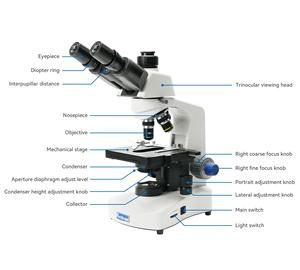 מיקרוסקופ ביולוגי BS-2020B רב-תחומי מיקרוסקופ ביולוגי קלאסי - Product Image 4