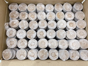 ก้อนมะพร้าวอัดเม็ดขนาด36มม. สำหรับปลูกต้นมะพร้าวแบบยาว - Product Image 2
