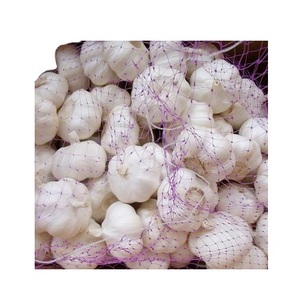 Ajo pelado blanco fresco 2025 para uso alimentario - Product Image 4