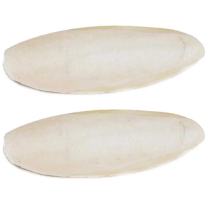 มูลค่ากระดูกปลาหมึกอบแห้งคุณภาพสูงผลิตในเวียดนามบรรจุในกล่อง - Product Image 6