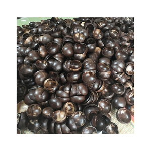 Bols en coquille de noix de coco authentiques fabriqués à la main au Vietnam pour une vie respectueuse de l'environnement - Product Image 1