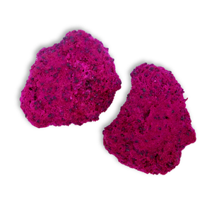 High Quality Frozen Dried Red Dragon Fruit Slices Healthy Delicious Tropical Fruit Direct From Vietnam FD Process Similar Longan - Product Image 4