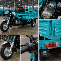 Tricycles de fret à essence avec une capacité de charge supérieure à 400 kilogrammes, vente en gros auprès des usines chinoises