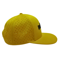 Gorras de Golf Personalizadas al por Mayor, Gorras Snapback de Poliéster Perforadas, Fabricante de Gorras de Indonesia, Gorras Deportivas Impermeables Multicolores KA