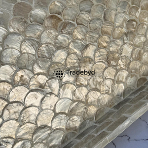 Tradebyd Modern MOP Inlay Tray Bandeja decorativa hecha a mano de calidad premium para estilo y exhibición de mesa - Product Image 6