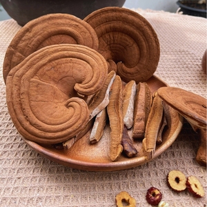 เห็ดหลินจือแห้งเวียดนามเกรดพรีเมียม สำหรับส่งออกขายส่ง - Product Image 1