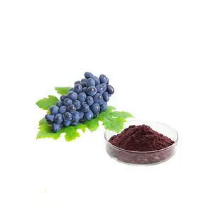 Hot Selling Pure Bulk Grape Fruit Powder Freeze Dried Red Grape Juice Powder at Best Price