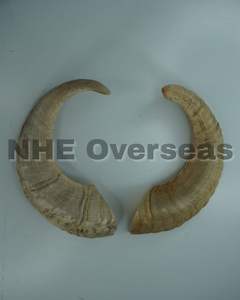 ของเล่นสุนัขสำหรับเคี้ยวแตรแกะธรรมชาติแข็งแรงปลอดภัยต่อสุขภาพทนทานสำหรับลูกสุนัข - Product Image 3