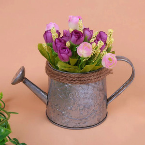 Regaderas sostenibles de Metal rústico para tus plantas Nature Hue Hermosas regaderas verdes para cada jardinero - Product Image 1