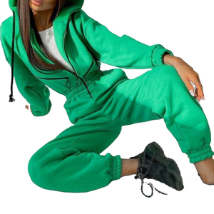 Conjunto Deportivo de Dos Piezas para Mujer, Invierno 2025, con Cremallera, Ecológico, Estilo Holgado, Ropa Deportiva Urbana, Estilo Sólido y Moderno - Product Image 1