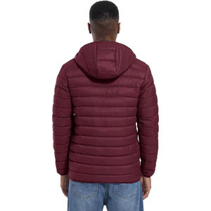 Veste d'hiver matelassée pour homme de haute qualité, nouvelle conception, best-seller, OEM, design personnalisé, vente en gros 2026 - Product Image 2
