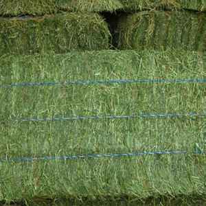 Cao cấp thân thiện với môi trường phơi khô cỏ linh lăng <span class=keywords><strong>hay</strong></span> kiện độ ẩm thấp tùy chỉnh kích thước gia súc ngựa Lạc Đà dê thức ăn chăn nuôi xuất khẩu trực tiếp - Product Image 1