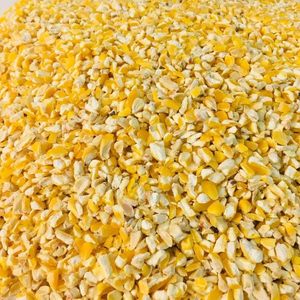 Semillas de Maíz Secas, Alimento para Pájaros, para Palomas, Ardillas, Animales de Jardín, Palomas, Canarios, Pinzones, Pájaros Cotorros, Periquitos, Agapornis, Cockatiels - Product Image 1