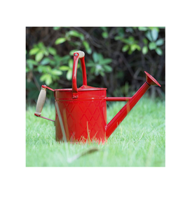 Joli design Arrosoir en métal meilleure capacité léger avec produit tendance coloré brillant et poli - Product Image 1