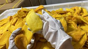 Mangue séchée douce de haute qualité moins de sucre emballage OEM non sulfuré exportation directe du fournisseur du Vietnam-Caryln 0084935825297 - Product Image 5